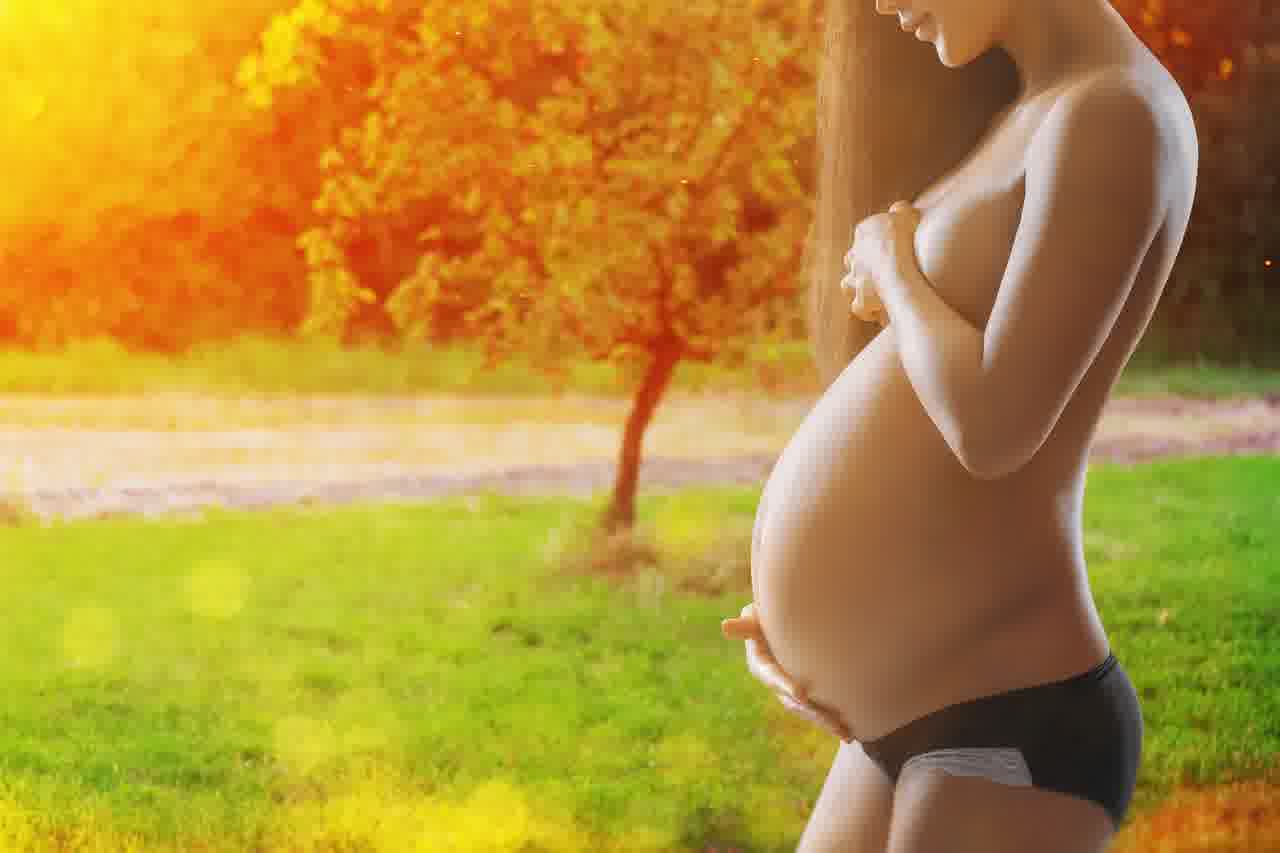 문서24시 홈페이지 바로가기와 문서서식 다운로드