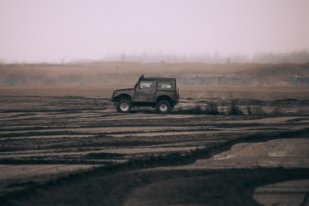 4인 가족 기준 공간 넉넉한 SUV 리스트