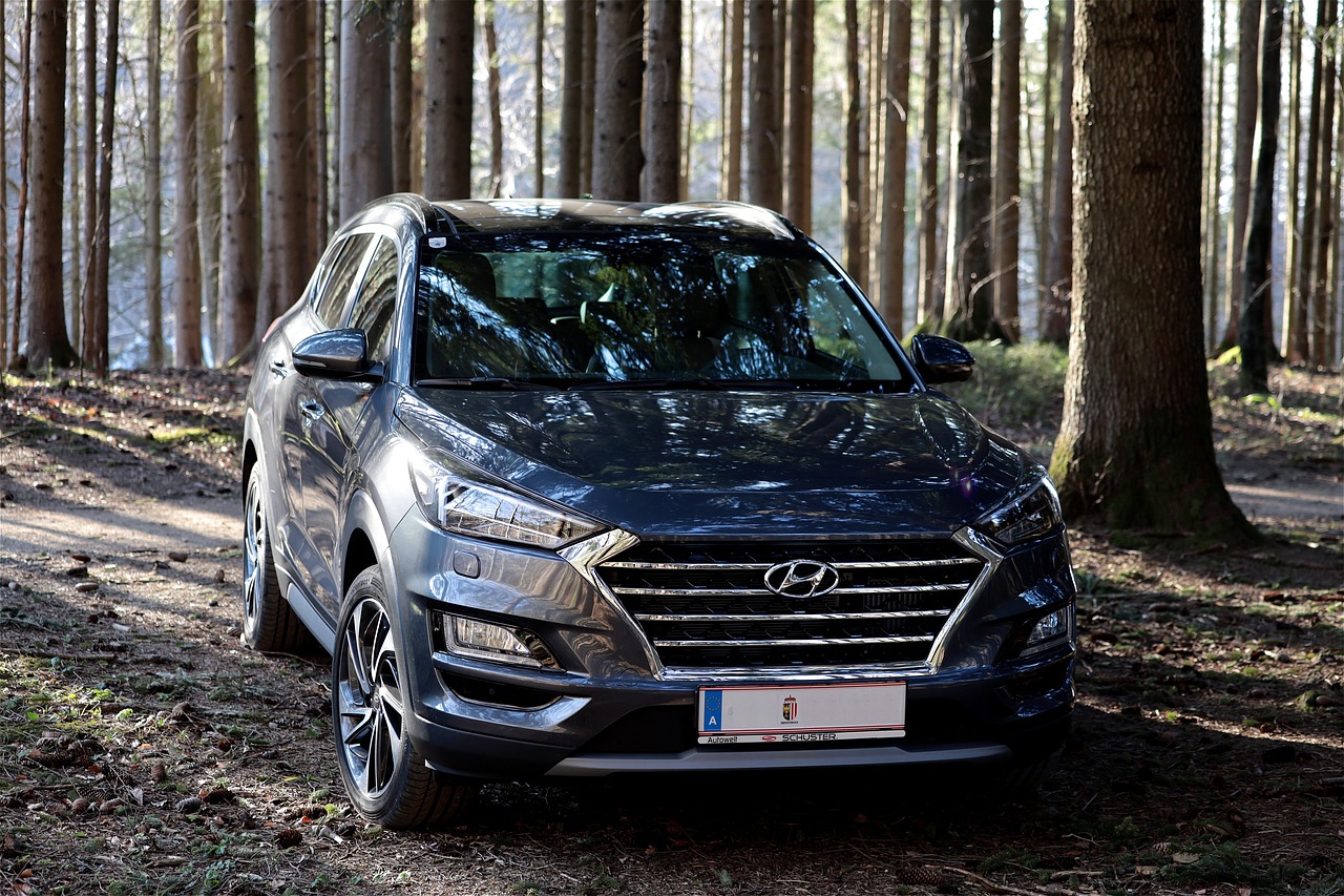 500만원대 중고 SUV 및 소형차 7종 추천 리스트!