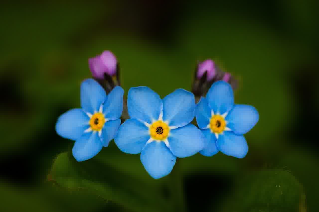 라프텔 무료체험과 할인정보, 손해 보지 마세요!