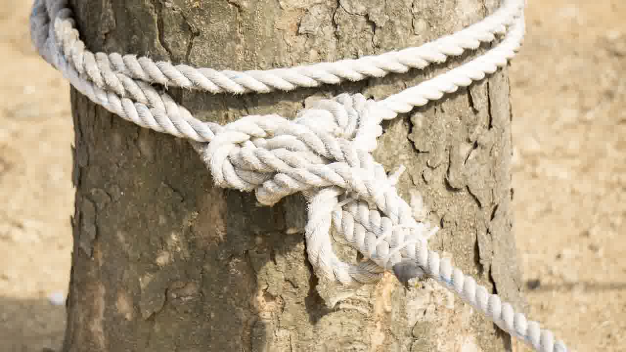 집단행동 주동자 구속, 범정부의 국민피해 최소화 노력이란?