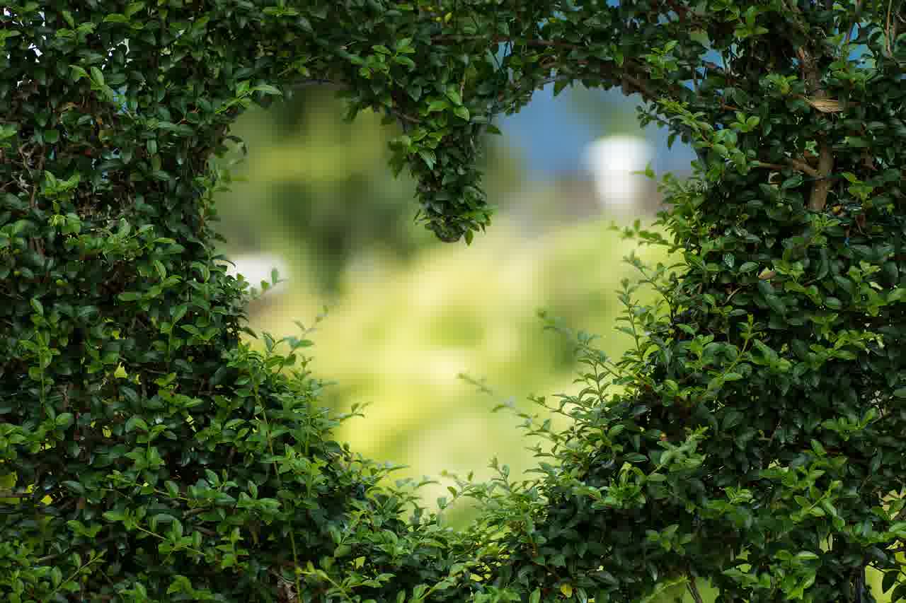임플란트 수명을 위한 5가지 필수 관리 비법 알아보기