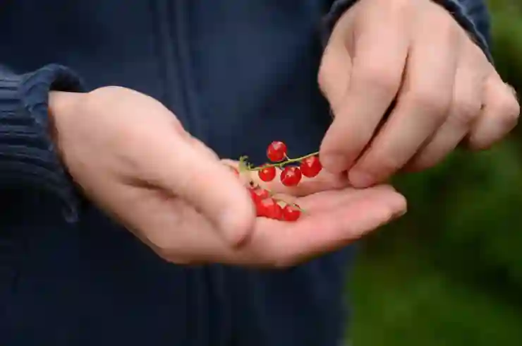 원룸 반포장이사 비용 절약을 위한 3가지 필수 준비범위!