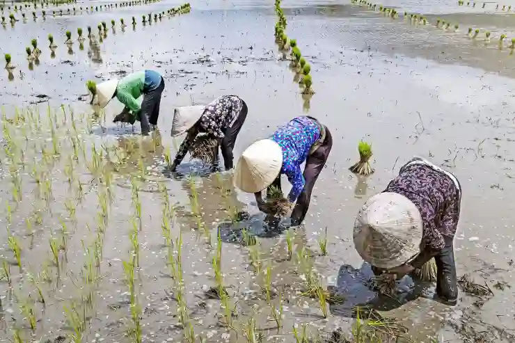 고양시 중산동에서 임플란트 저렴하게 받는 꿀팁과 보험 활용법 알아보기