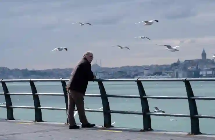 광명시 소하노인종합복지관에서 만나는 중장년 노인일자리, 기회와 정보 한눈에 알아보기