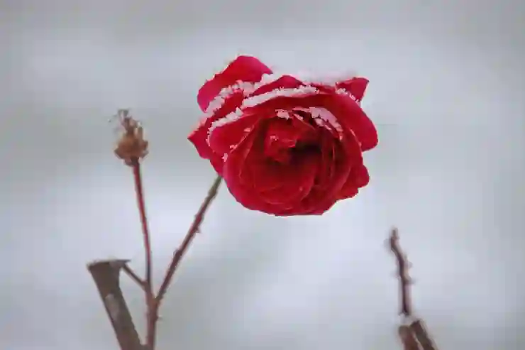 막금도 여객선 완전 정복! 예약부터 소요시간까지 알아보기