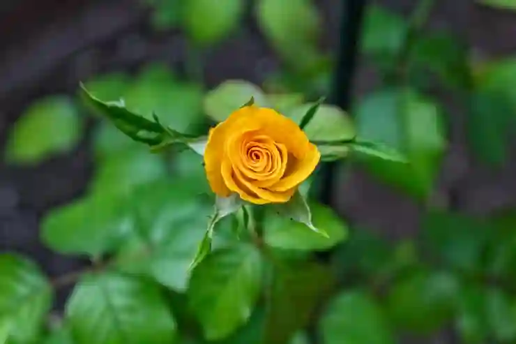 소액 긴급 생계비 대출 사전 예약과 신청 자격 완전 정복! 꼭 알아봐야 할 꿀팁