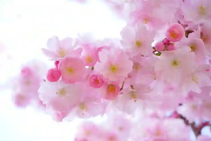 임산부 땀띠, 원인과 증상 알아보기 그리고 효과적인 관리법 꿀팁