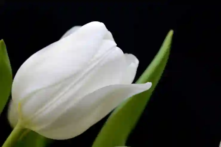 정수리 탈모 초기 증상 자가 진단과 빠른 대처법 알아보기