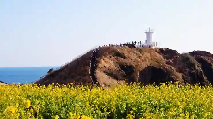 제주도 여행, 반려견과 함께하는 항공사별 규정 완벽 정리!