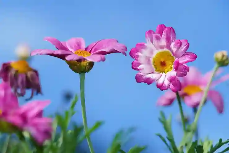 A형 독감 완전 정복을 위한 필수 증상과 예방약 알아보기
