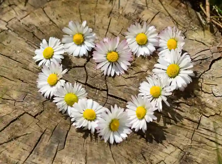 골드웨이브: 주요 기능과 무료 다운로드 방법 안내