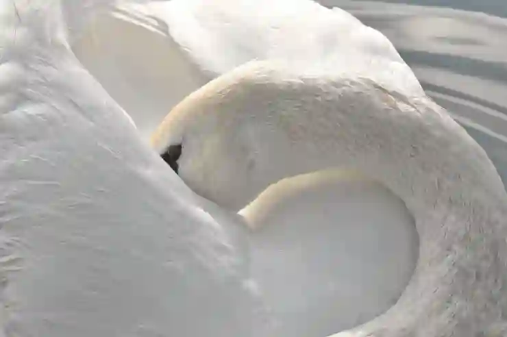 피쿡 S1 프로 화이트 리뷰 성능과 만족도