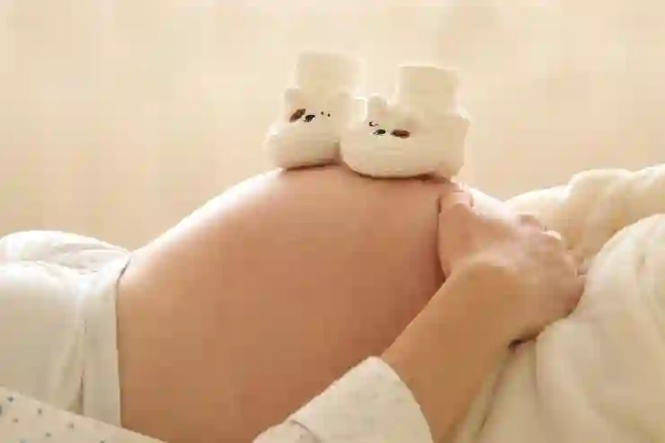 서울시 임산부, 최대 70만원 교통비 지원 즉시 지급 방법은?