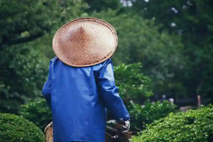 크롬 브라우저 업데이트로 빠른 인터넷 환경 만들기
