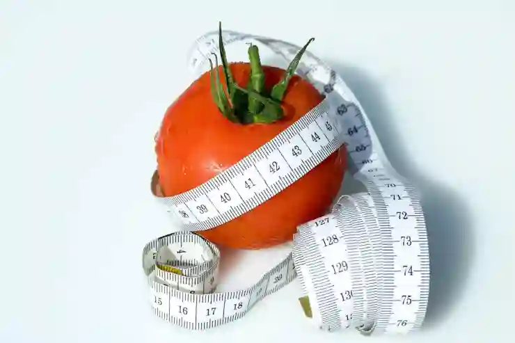체지방 비율 측정 체중계로 다이어트 관리하는 법