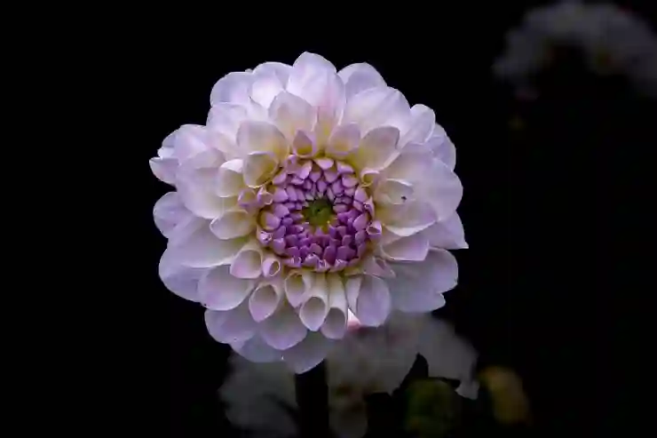 소형화물 배송의 모든 것: 정의와 특성
