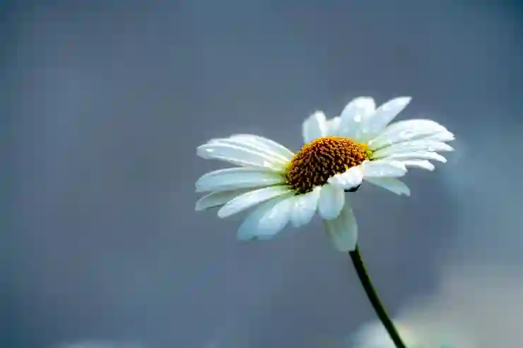 앞트임 수술: 가격, 회복기간, 장단점 및 부작용 총정리!