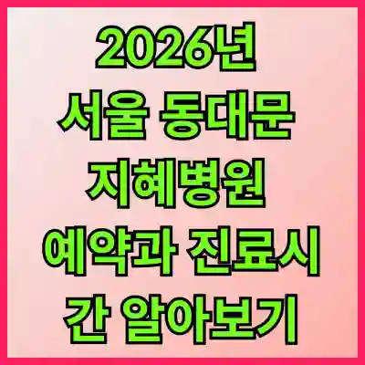 2026년 서울 동대문 지혜병원 예약과 진료시간 알아보기