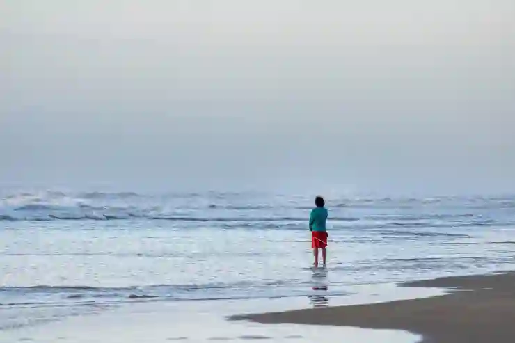 경산시 옥곡동 포장이사 가격 비교로 원룸부터 투룸까지 비용 절감하는 꿀팁!