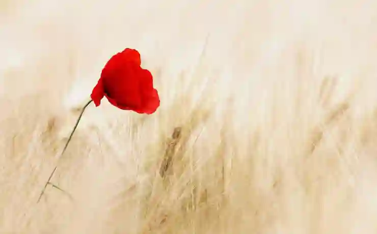 노인 요양과 건강관리 일자리의 미래와 성장 기회 알아보기