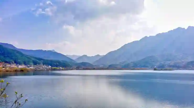 독신자를 위한 안정적인 노후 준비 전략 살펴보기