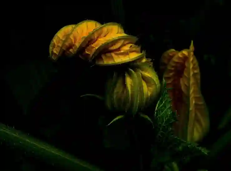 송정동 임플란트 뼈이식 비용과 실손보험 활용법 알아보기