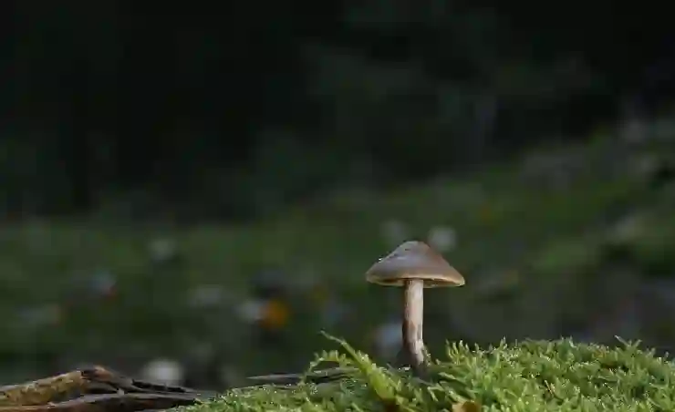 실리콘 곰팡이 제거로 깨끗해진 공간의 변화 살펴보기
