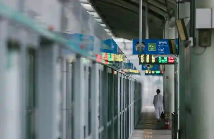 서울 지하철 빈대, 걱정 없는 안전한 여행을 위한 대처법 알아보기