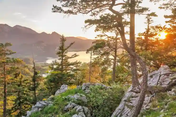 종로구 관수동 포장이사 비용과 견적 비교 꿀팁! 아파트·원룸·투룸 소요시간과 후기 한눈에 살펴보기