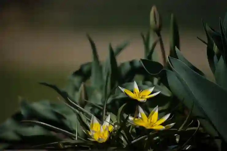 2025년 천안다나힐요양병원에서의 진료시간과 예약 꿀팁 알아보기