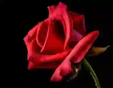 IBK기업은행 청년 인턴십 합격을 위한 필수 가이드와 자소서 작성 꿀팁 알아보기