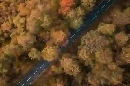 상해 태풍으로 인한 비행기 결항 확인 및 보상 환불 방법 안내