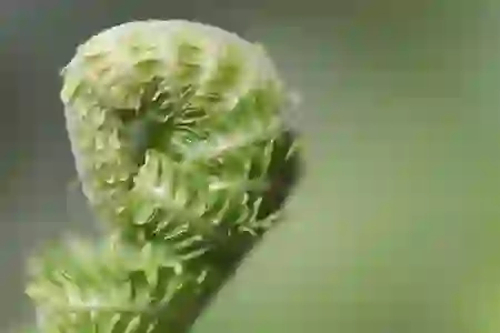 중도퇴사 후 원천징수 영수증 발급받는 팁