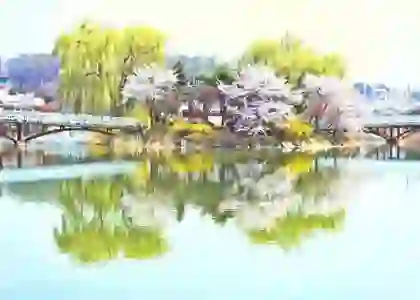 간선 상차하차의 개념과 대전 곤지암 옥천 이천 MP HUB