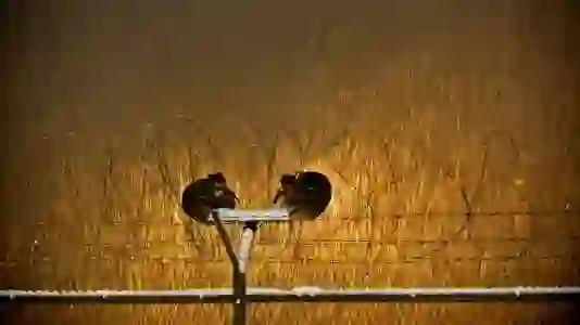 경기도 비정규직 공정수당 제도의 필요성과 효과