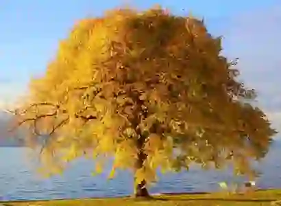 스픽(Speak) 3주 사용 후기와 할인 코드 공유