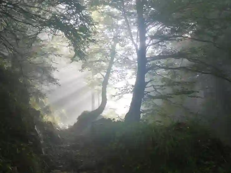 간선상차와 간선하차로 배송 경로 최적화하는 전략 살펴보기