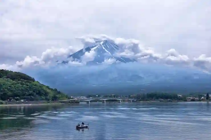담낭 제거 후 꼭 피해야 할 식품 리스트 알아보기