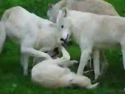 여름에 딱! 영주 계곡에서 물놀이 즐기기 좋은 방법 알아보기