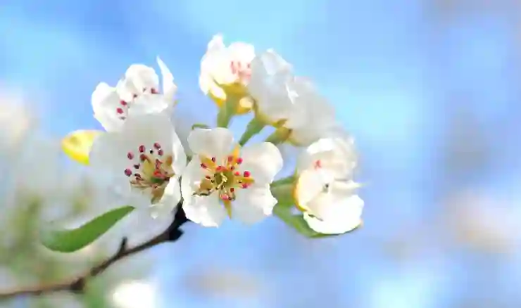 카카오톡 알림이 사라진 이유와 간단한 해결책 알아보기