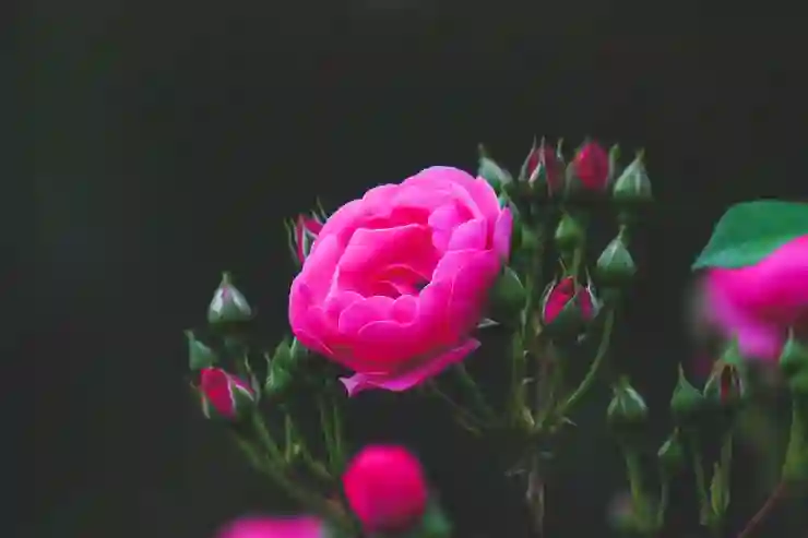 간선상차의 모든 것: 물류 효율성을 높이는 스마트한 접근법 알아보기