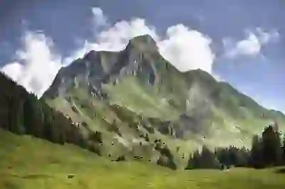 챗GPT 가격 할인과 무료 유료 차이점 알아보자