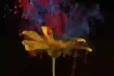 HP플로터임대에 적합한 리필형잉크 신제품 알아보자