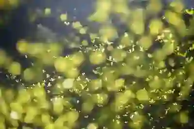 SK KT LG 인터넷 TV 재약정 신규가입 혜택 비교 알아보자