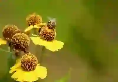 lg 유플러스 인터넷 이전 설치와 재약정 신규가입 비교 꿀팁 알아보자