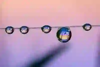 쿠쿠 음식물분쇄기 추천과 선택 가이드 알아보자