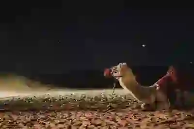 갤럭시 속도 향상을 위한 개발자 옵션 설정 방법 알아보자