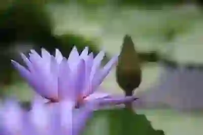 갤럭시 버즈3 프로 가격과 노이즈 캔슬링 성능 알아보자