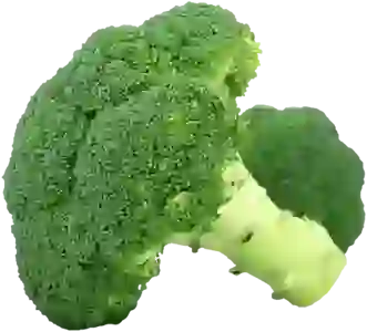 갤럭시 퀀텀6 출시와 A56 가격 정보 알아보자